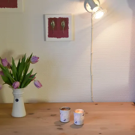 Pensionat Henne Strand Ferie Hennebjerg