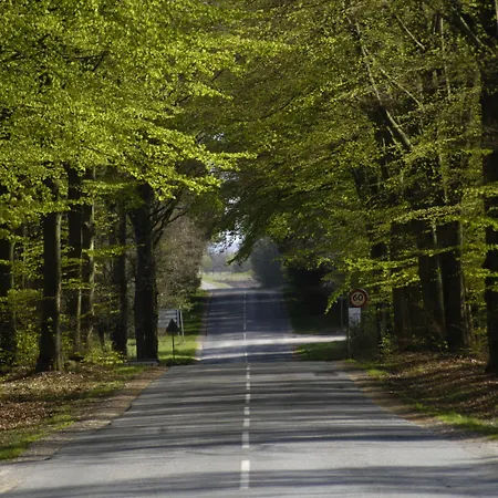 Henne Ferie Gasthof Hennebjerg