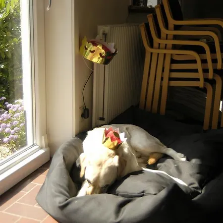 Henne Strand Ferie Pensionat 2*