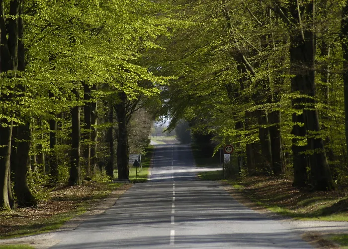 Henne Ferie Casa de hóspedes Hennebjerg