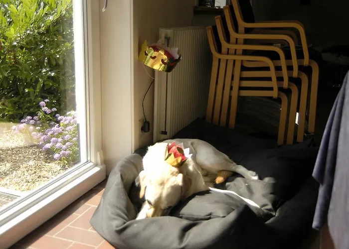 汉纳斯特兰德假日旅馆 招待所 2*