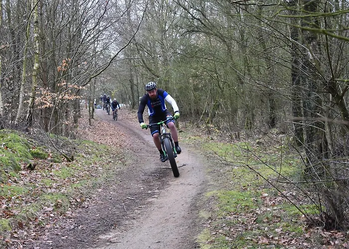 Maison d'hôtes Henne Ferie Hennebjerg